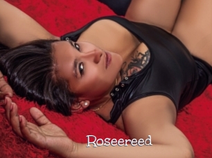 Roseereed